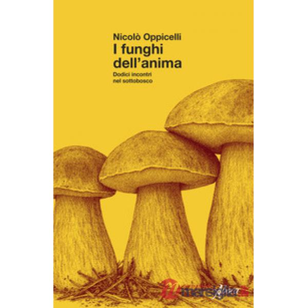 Funghi dell'anima. Dodici incontri nel sottobosco (I)