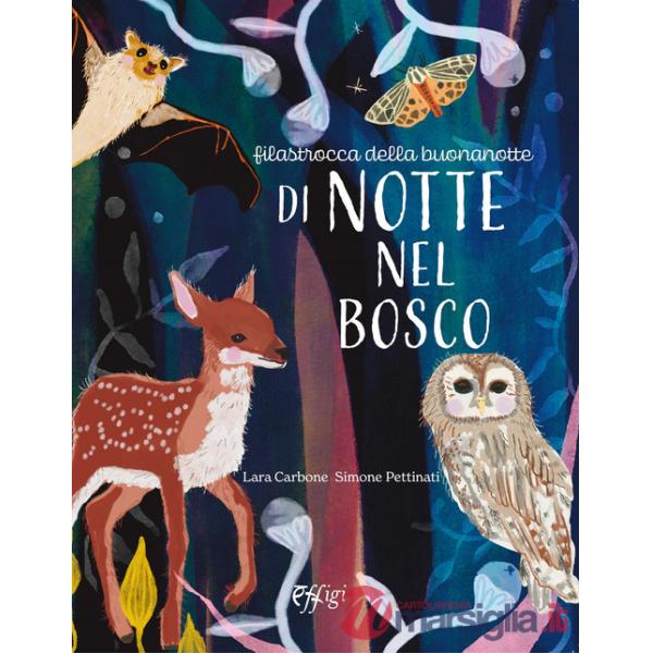Di notte nel bosco. Ediz. illustrata