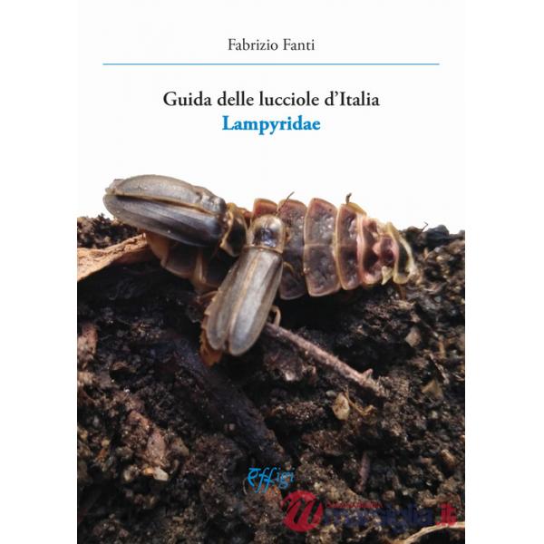 Guida delle lucciole d'Italia lampyridae