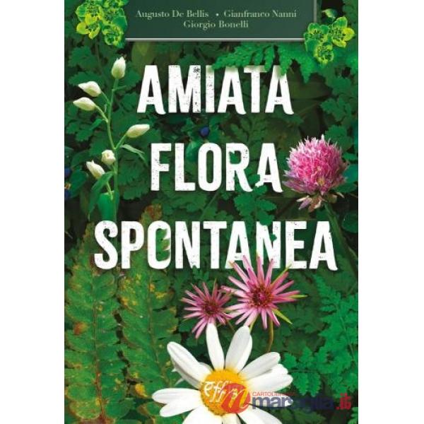 Amiata flora spontanea