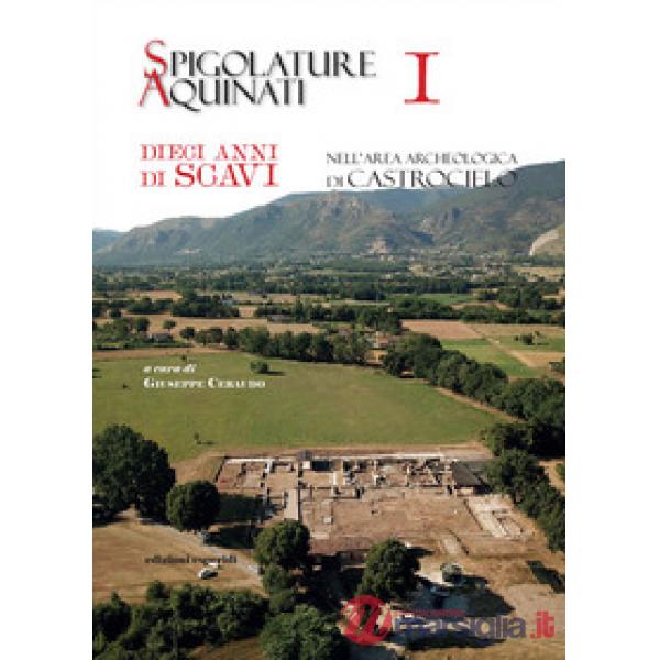 Spigolature Aquinati. Dieci anni di scavi nell'area archeologica di Castrocielo. Vol. 1