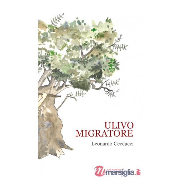 Ulivo migratore