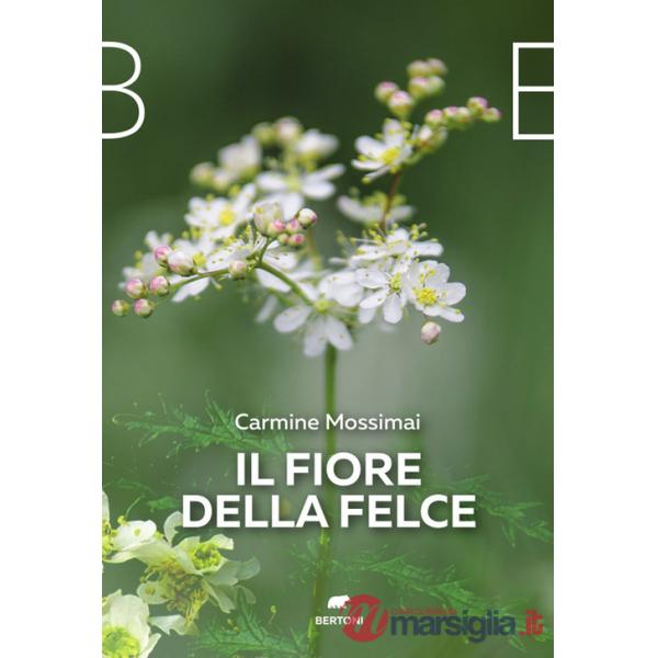 Fiore della felce (Il)
