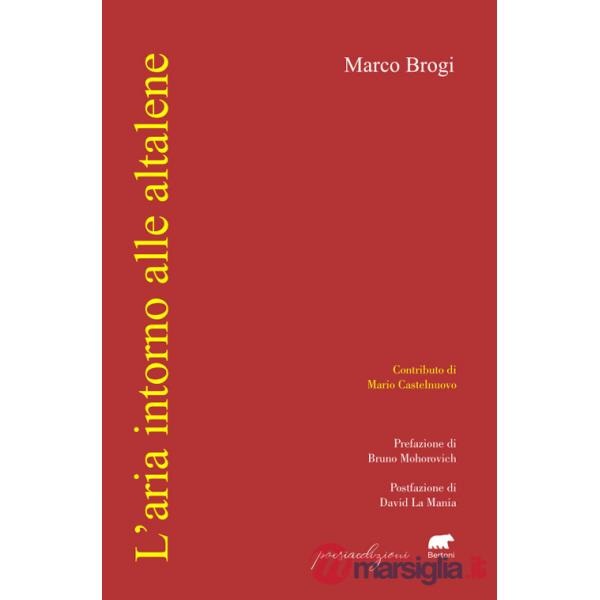 Aria intorno alle altalene (L')