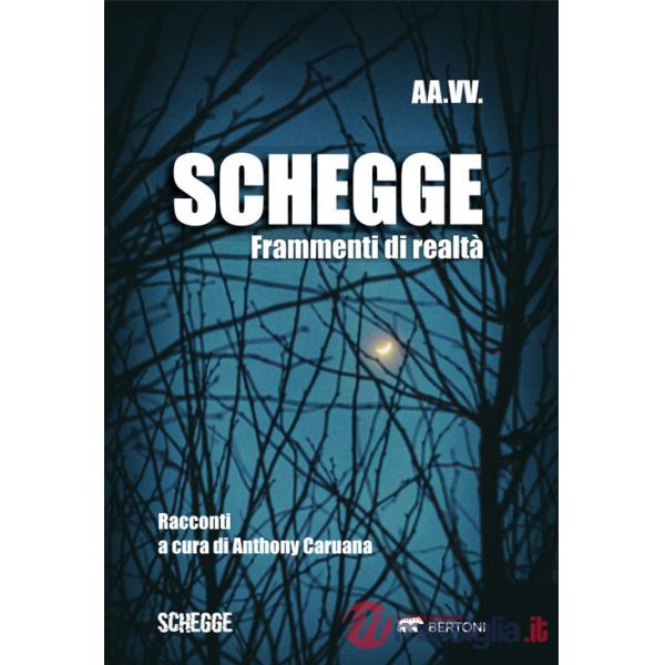 Schegge. Frammenti di realtà