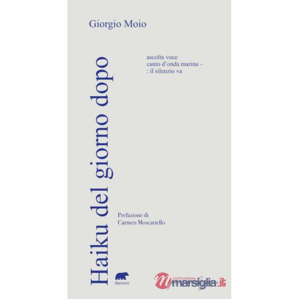 Haiku del giorno dopo