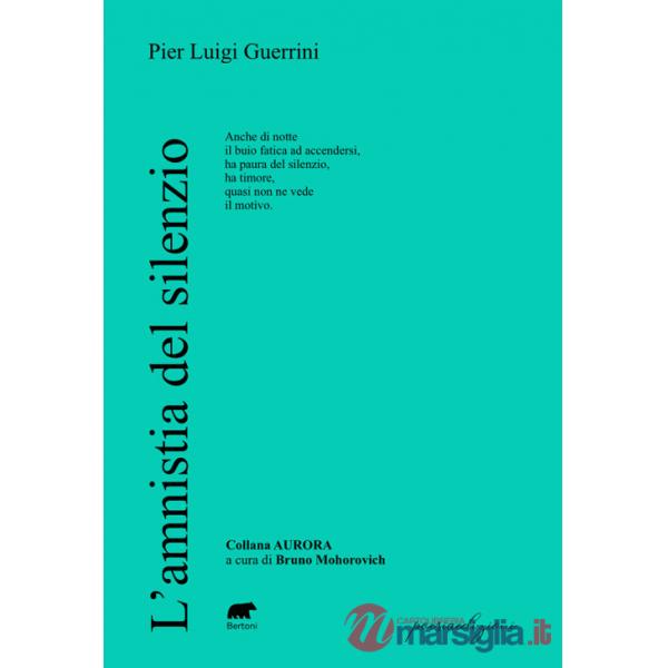 Amnistia del silenzio (L')