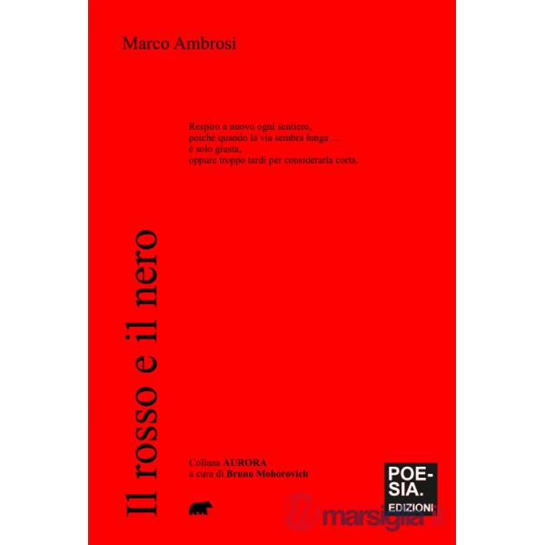 Rosso e il nero (Il)