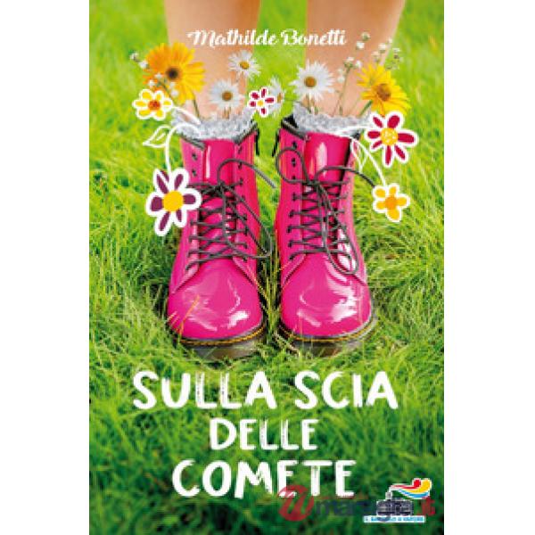 Sulla scia delle comete