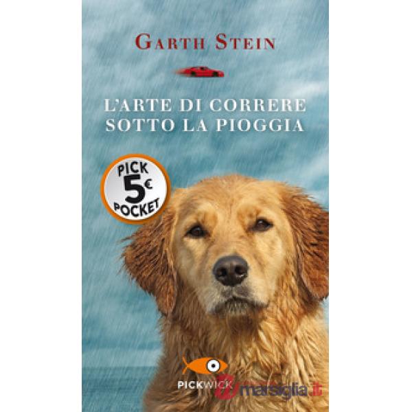 Arte di correre sotto la pioggia (L')