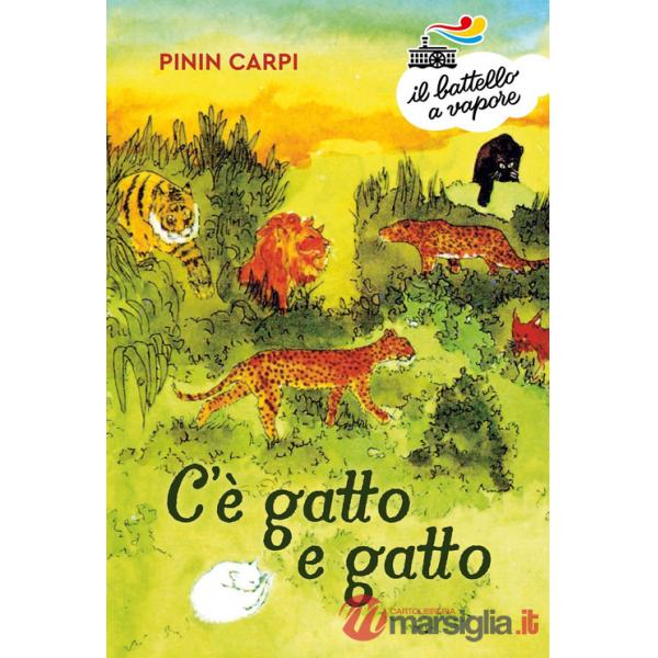 C'è gatto e gatto. Ediz. a colori