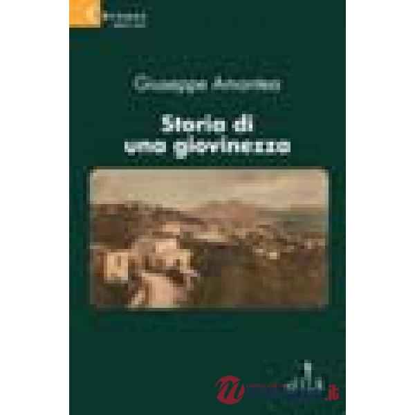 Storia di una giovinezza