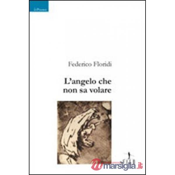 Angelo che non sa volare (L')