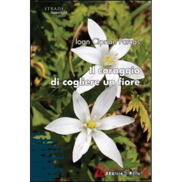Coraggio di cogliere un fiore (Il)