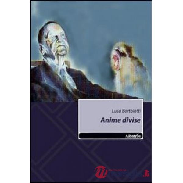 Anime divise