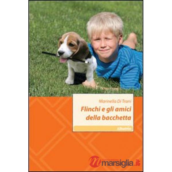 Flinchi e gli amici della bacchetta