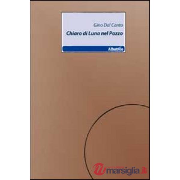 Chiaro di luna nel pozzo