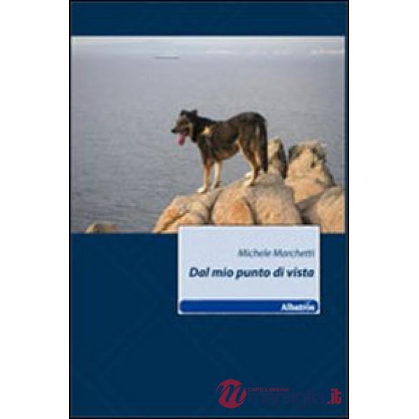 Dal mio punto di vista