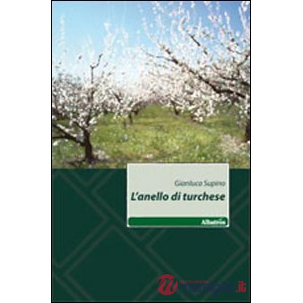 Anello di turchese (L')