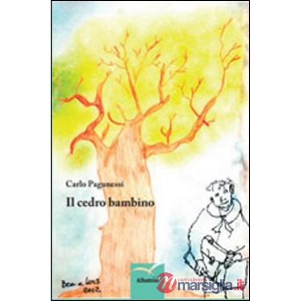 Cedro bambino (Il)