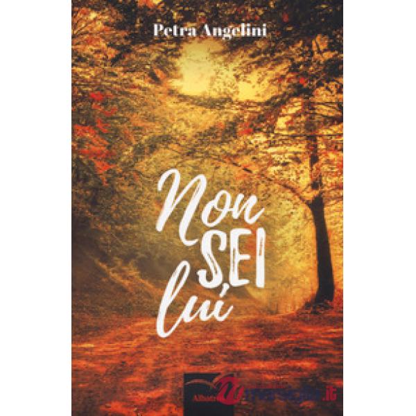 Non sei lui