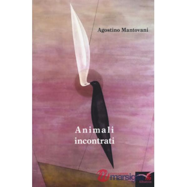 Animali incontrati