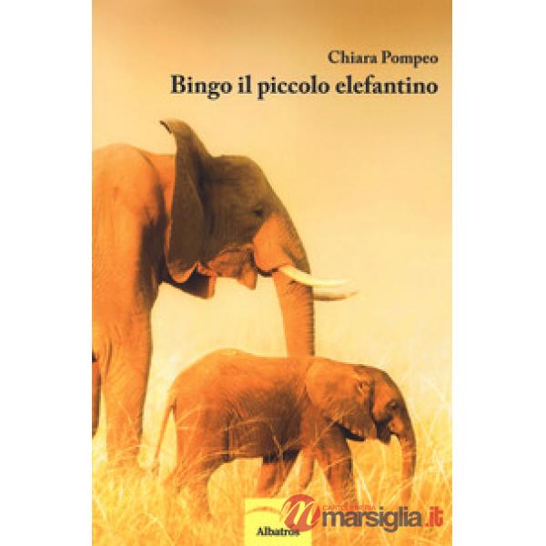 Bingo il piccolo elefantino