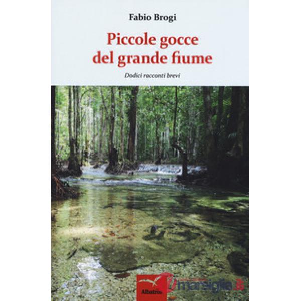 Piccole gocce del grande fiume. Dodici racconti brevi