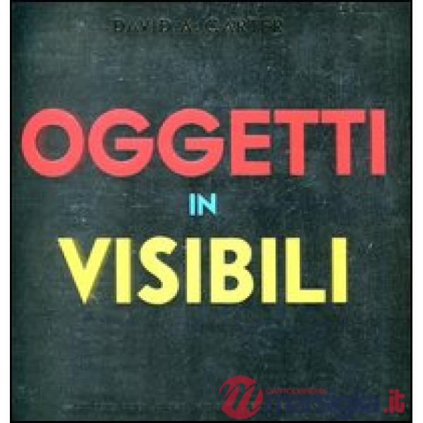 Oggetti invisibili. Libro pop-up. Ediz. illustrata