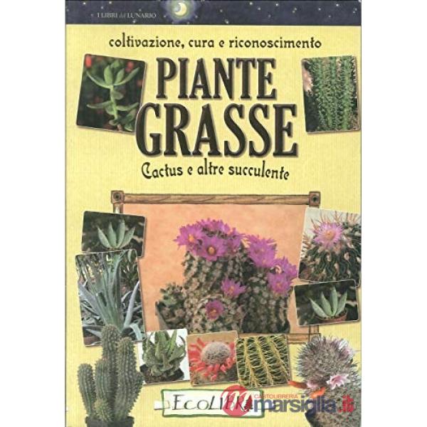 Piante grasse. Coltivazione, cura e riconoscimento