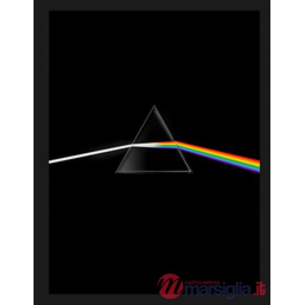 Pink Floyd. Their mortal remains. Ediz. a colori