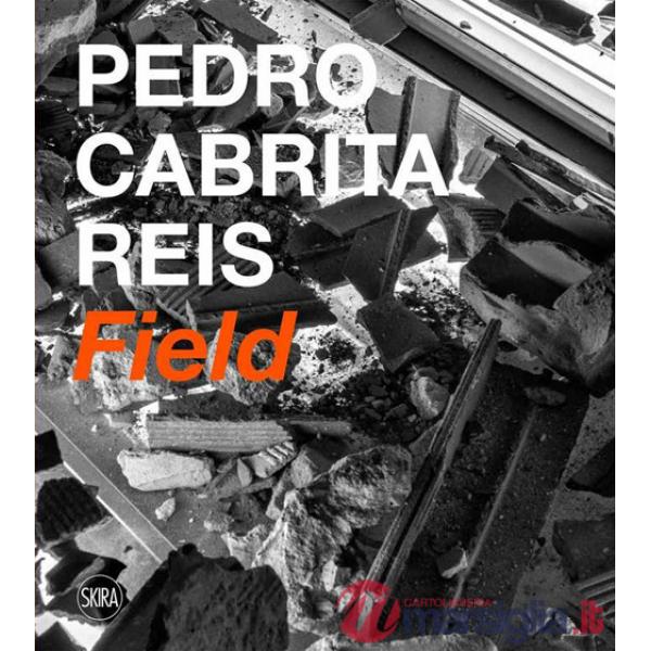 Pedro Cabrita Reis. Field