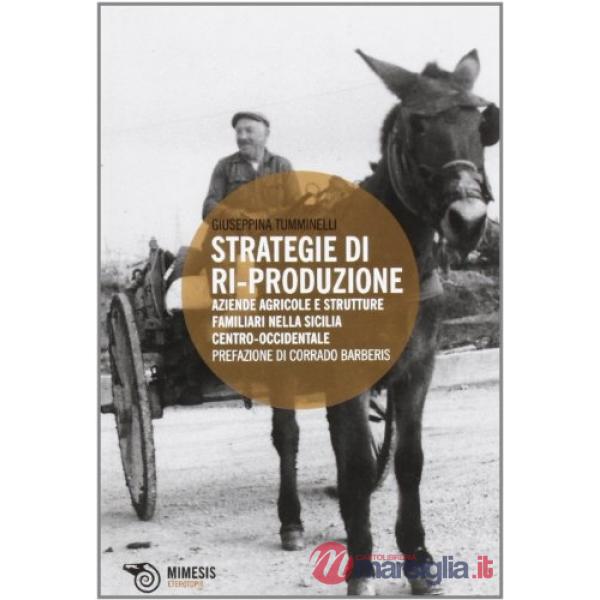 Strategie di ri-produzione. Aziende agricole e strutture familiari nella Sicilia