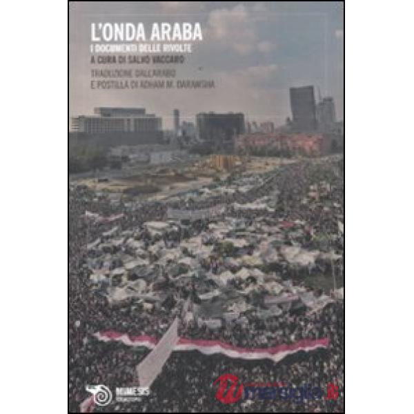 Onda araba. I documenti delle rivolte (L')