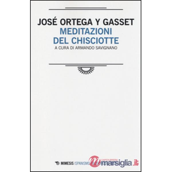 Meditazioni del Chisciotte