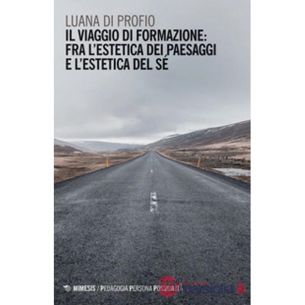Viaggio di formazione: fra l'estetica dei paesaggi e l'estetica del sé (Il)