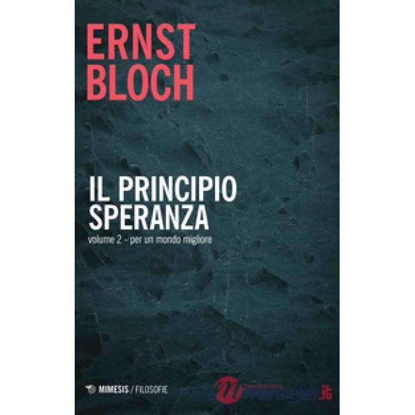 Principio speranza (Il). Vol. 2: Per un mondo migliore