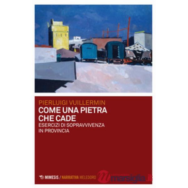 Come una pietra che cade. Esercizi di sopravvivenza in provincia