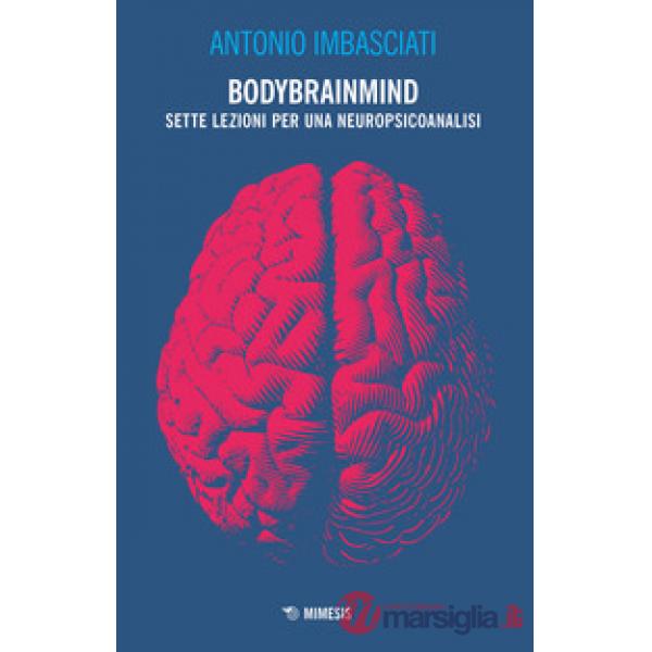 Bodybrainmind. Sette lezioni per una neuropsicoanalisi