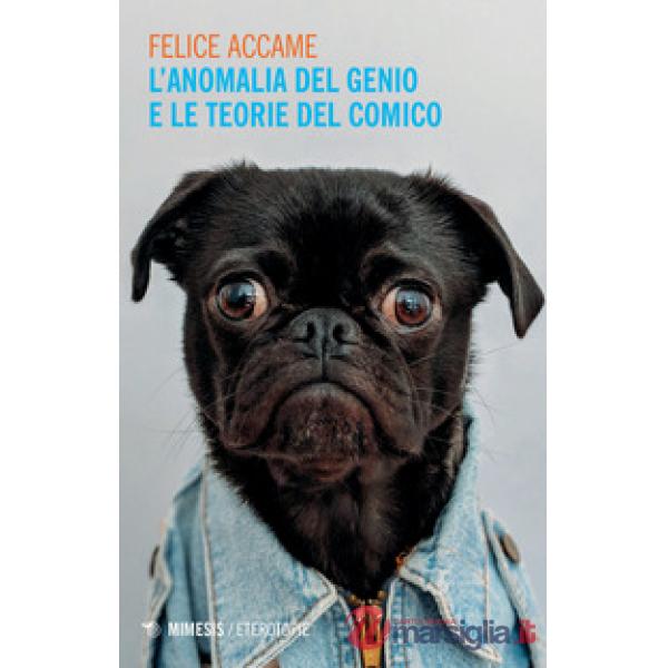 Anomalia del genio e le teorie del comico (L')