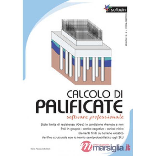 Calcolo di palificate. Software professional