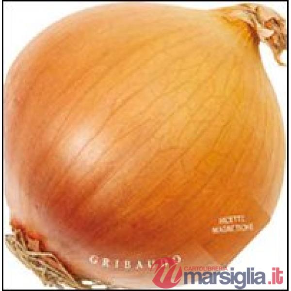 Cipolla. Ricette magnetiche