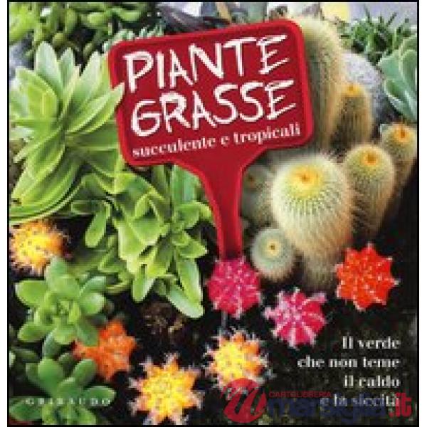 Piante grasse succulente e subtropicali. Il verde che non teme il caldo e la sic