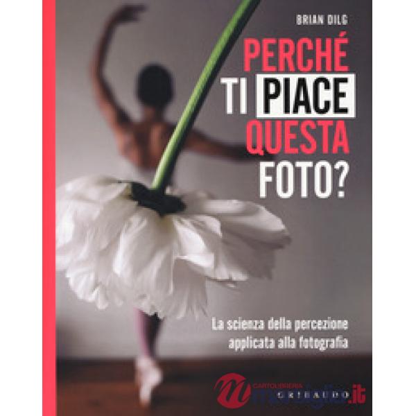 Perché ti piace questa foto? La scienza della percezione applicata alla fotograf