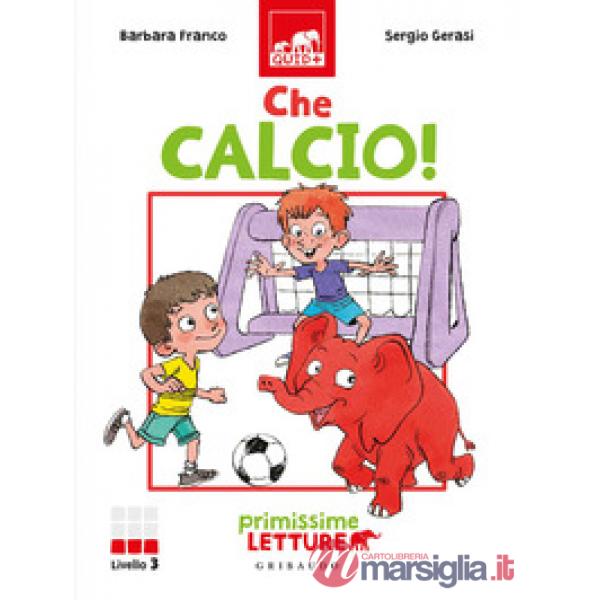 Che calcio! Primissime letture. Livello 3. Ediz. a colori