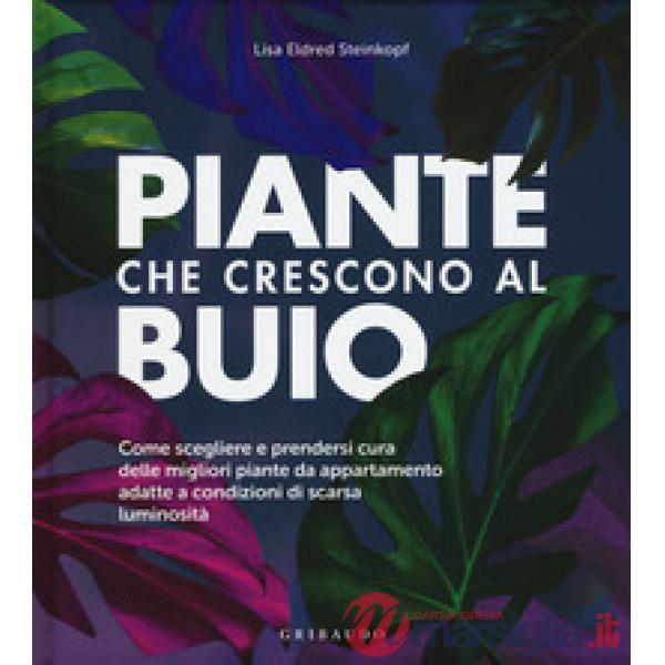 Piante che crescono al buio. Come scegliere e prendersi cura delle migliori piante d'appartamento adatte a condizioni di scarsa 