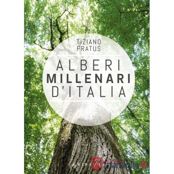 Alberi millenari d'Italia. Un viaggio fra i boschi nascosti. Ediz. a colori