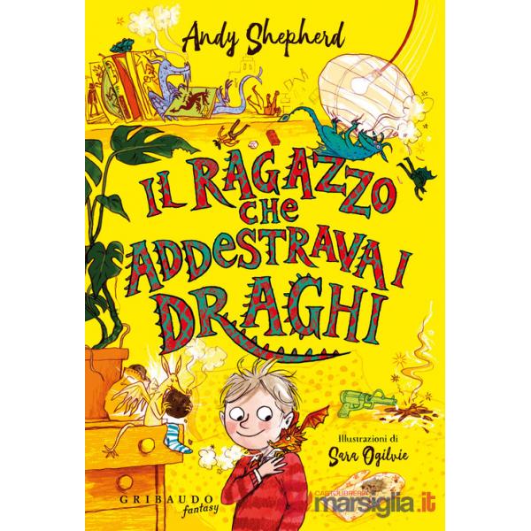 Ragazzo che addestrava i draghi (Il)