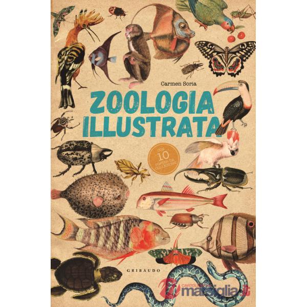 Zoologia illustrata. Con 10 poster