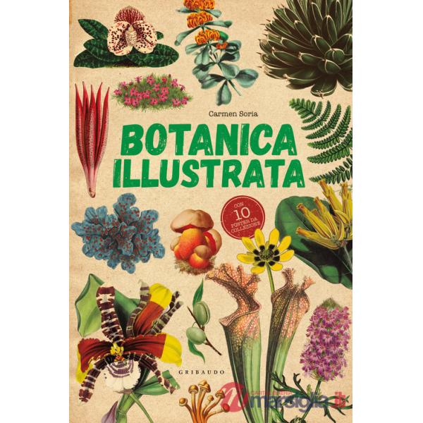 Botanica illustrata. Con 10 poster